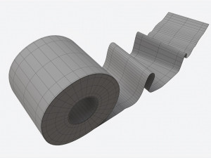 Toilet Paper Roll with Unrolled Part Modèle 3D