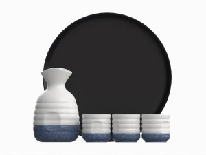 Japanese Ceramic Sake Set 01 3D Model