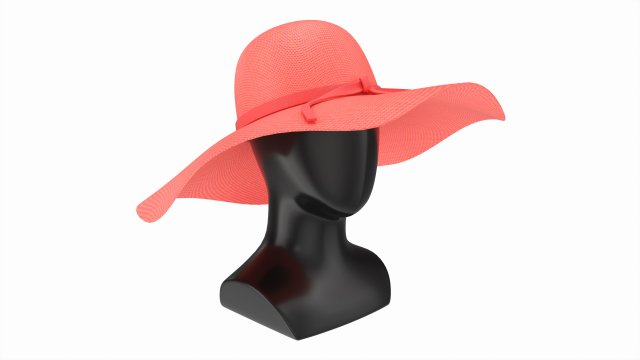 Store display mannequin head with Floppy hat Model 3D .c4d .max .obj .3ds .fbx .stl .blend 