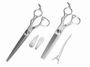 Hair Cutting Thinning Scissors Set Steel Model 3D