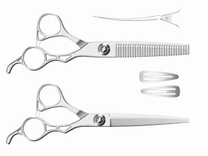Hair Cutting Thinning Scissors Set Steel 3D Model