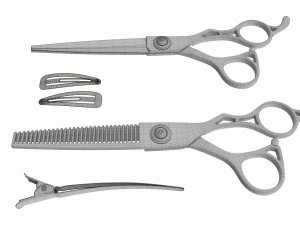Hair Cutting Thinning Scissors Set Steel 3D Model