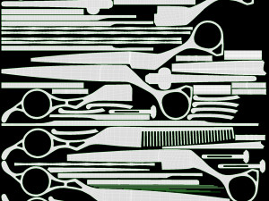 Hair Cutting Thinning Scissors Set Steel 3Dモデル