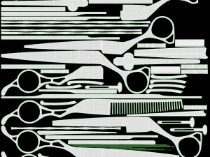 Hair Cutting Thinning Scissors Set Steel 3D Model