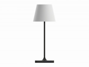 Outdoor and indoor cordless table and floor lamp set Modelo 3D