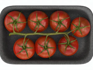 Tomatoes with tray 02 3D Model