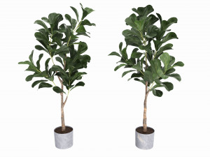 Artificial Ficus Plant in Pot 3D Model