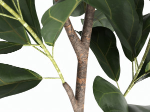 Artificial Ficus Plant in Pot Model 3D