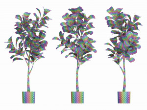 Artificial Ficus Plant in Pot Model 3D