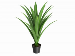 Artificial Yucca Plant in Pot 3D Model