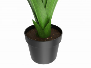 Artificial Yucca Plant in Pot 3D Model