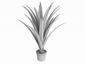 Artificial Yucca Plant in Pot 3D Model