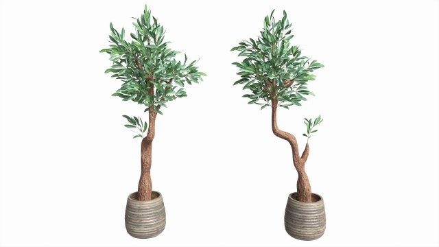 Artificial Olive Tree with plantpot 3D Модель .c4d .max .obj .3ds .fbx .stl .blend 