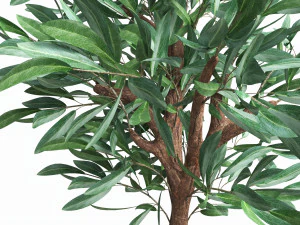 Artificial Olive Tree with plantpot 3D Model
