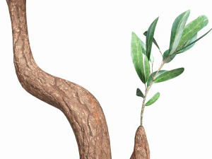 Artificial Olive Tree with plantpot 3D Model