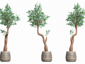 Artificial Olive Tree with plantpot 3D Модель