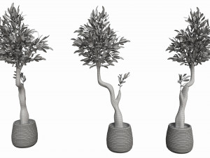 Artificial Olive Tree with plantpot 3D Модель