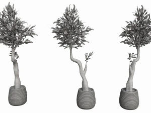 Artificial Olive Tree with plantpot 3D Model