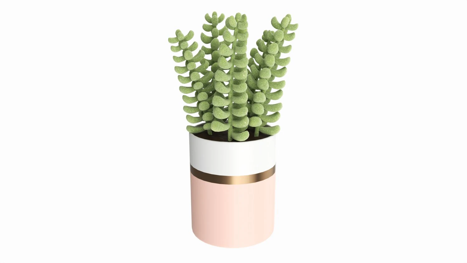Artificial Sedum Lucidum plant in ceramic pot 3D Model .c4d .max .obj .3ds .fbx .stl .blend