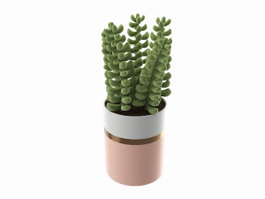 Artificial Sedum Lucidum plant in ceramic pot Model 3D