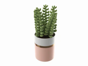 Artificial Sedum Lucidum plant in ceramic pot 3D Model