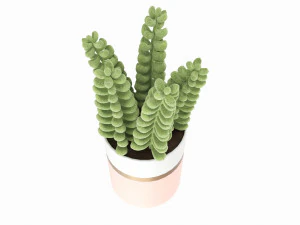 Artificial Sedum Lucidum plant in ceramic pot 3D Model