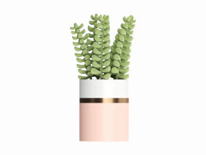 Artificial Sedum Lucidum plant in ceramic pot 3D Model