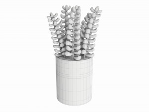 Artificial Sedum Lucidum plant in ceramic pot Model 3D