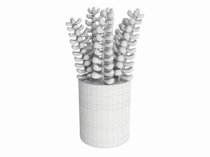 Artificial Sedum Lucidum plant in ceramic pot 3D Model