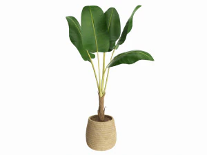 पौधे के गमले के साथ बा कृत्रिम पौधा 3D मॉडल