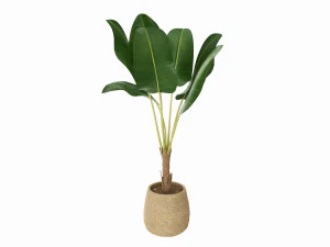 Baa artificial plant with plantpot 3D Model