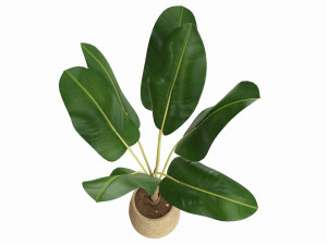 Baa artificial plant with plantpot Modello 3D