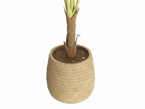 Baa artificial plant with plantpot 3D Model