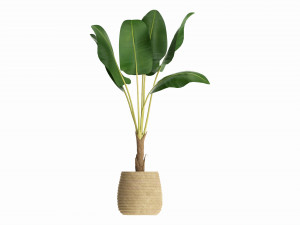 Baa artificial plant with plantpot Modello 3D