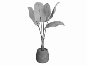 Baa artificial plant with plantpot 3D Model