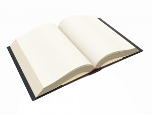 Open book with blank pages and bookjacket 3D Model