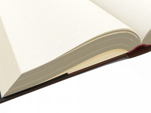 Open book with blank pages and bookjacket 3D Model