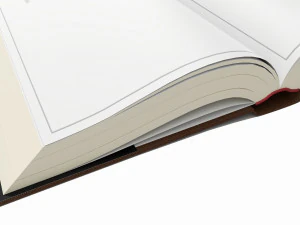 Open book with blank pages and bookjacket mockup 3D Model