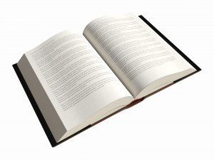 Open book with bookjacket and text 3D Model