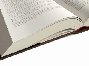 Open book with bookjacket and text 3D Model