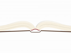 Open book with bookjacket and text 3Dモデル