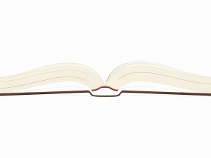 Open book with bookjacket and text 3D Model