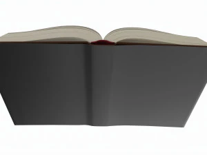 Open book with bookjacket and text 3D Model