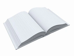 Open book with bookjacket and text 3D Model