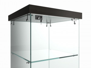 Store Frameless Glass Tower Showcase 3D Model
