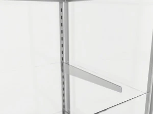 Vitrine d'&eacute;tag&egrave;re en verre de magasin basse Modèle 3D