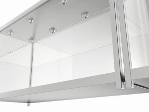 Vitrine de torre de vidro para loja Modelo 3D