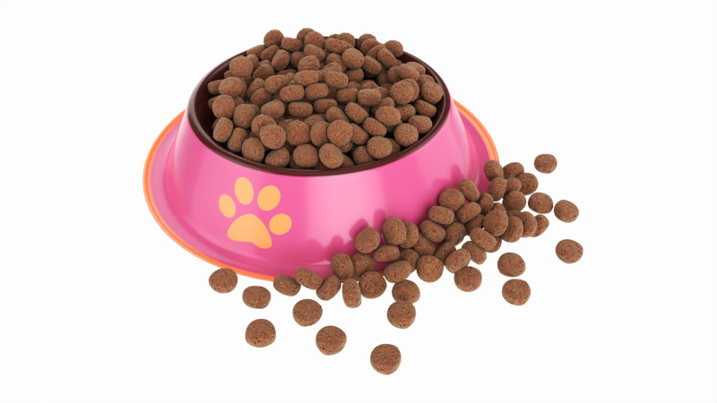 Cat food bowl pink with print 3D Model .c4d .max .obj .3ds .fbx .stl .blend
