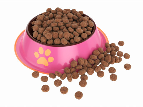 Cat food bowl pink with print 3D मॉडल