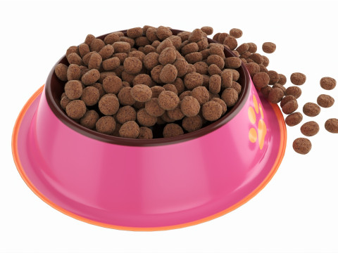 Cat food bowl pink with print 3D Model